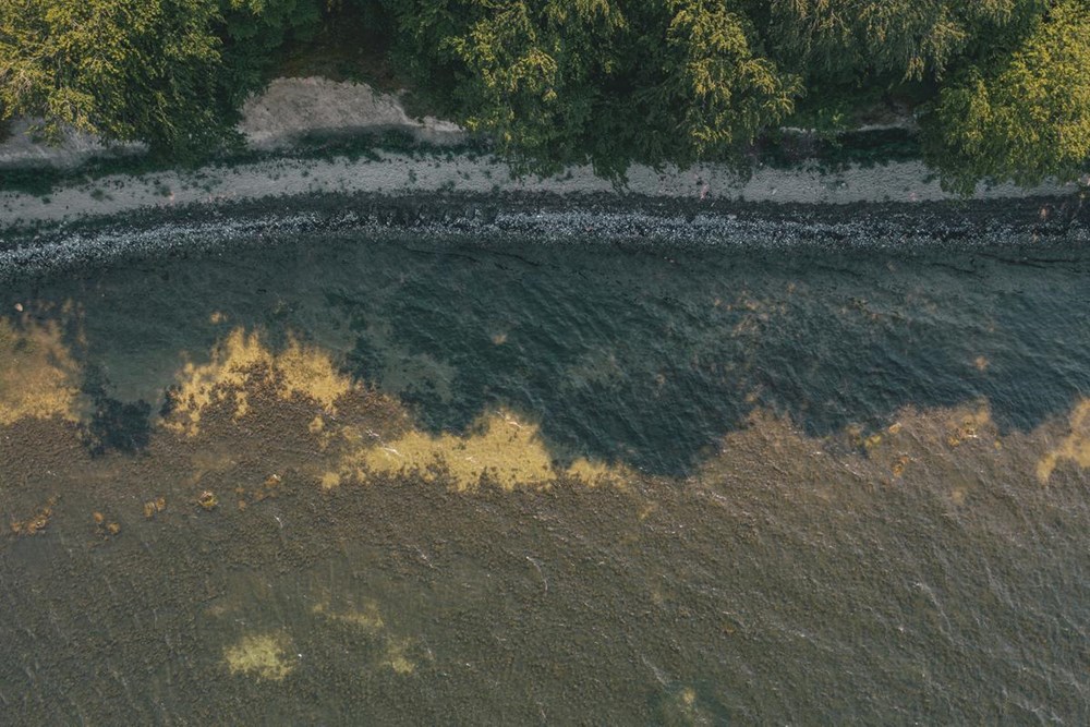 Luftfoto af kystlinje på Møn